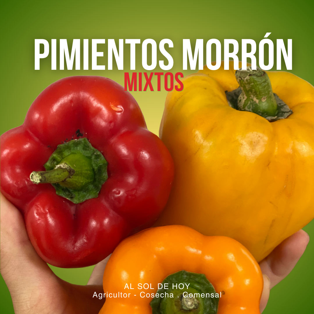 Pimientos Morron Mixto