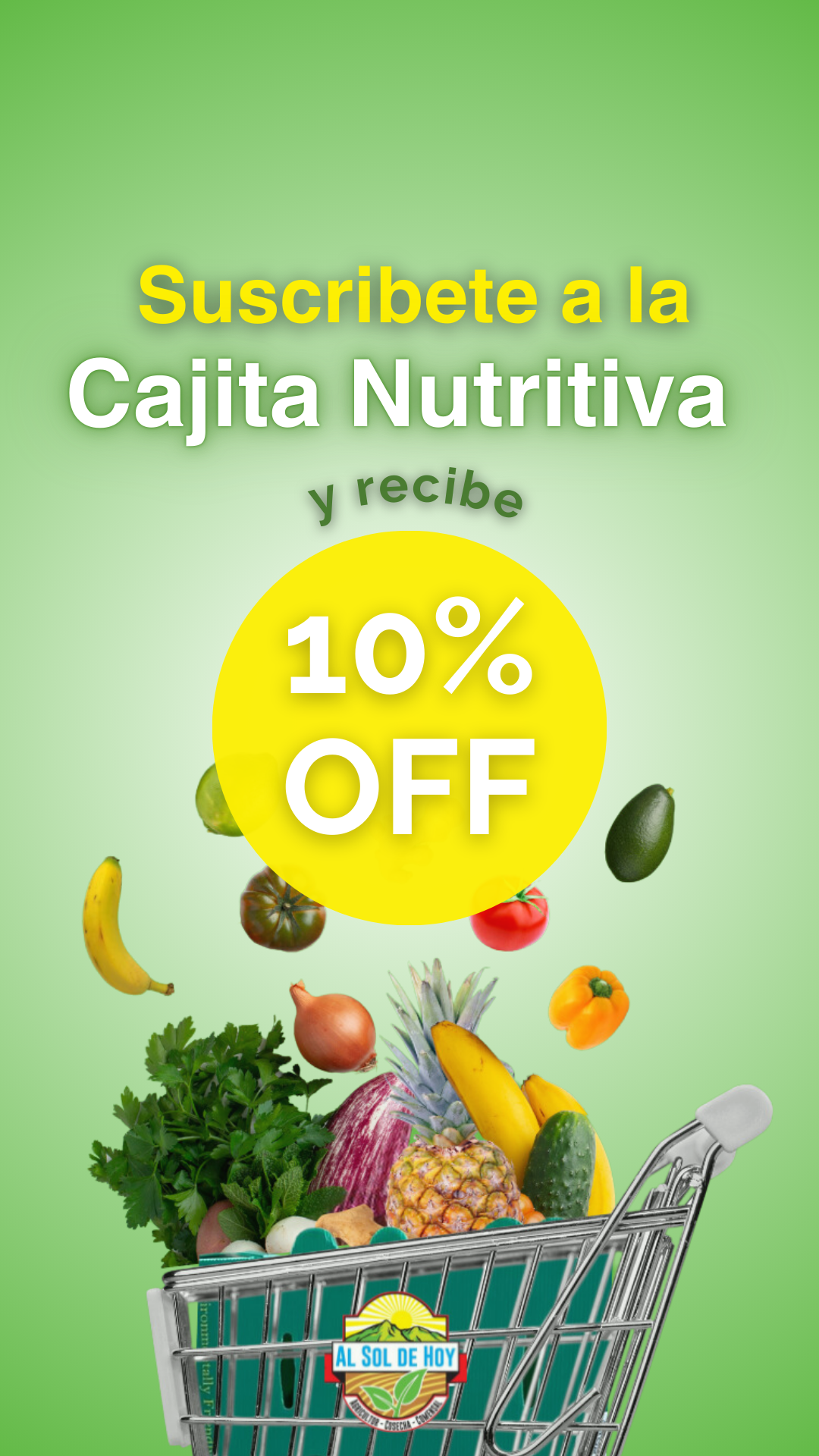 10% de descuento en su primera compra