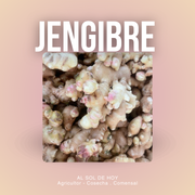 Jengibre
