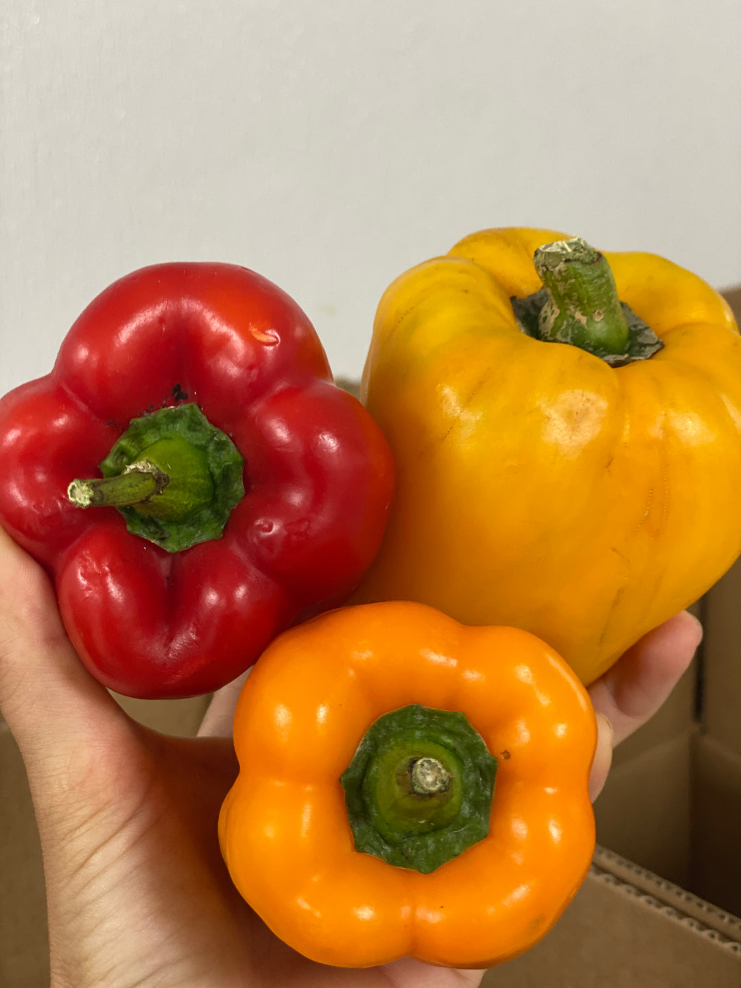 Pimientos Morron Mixto