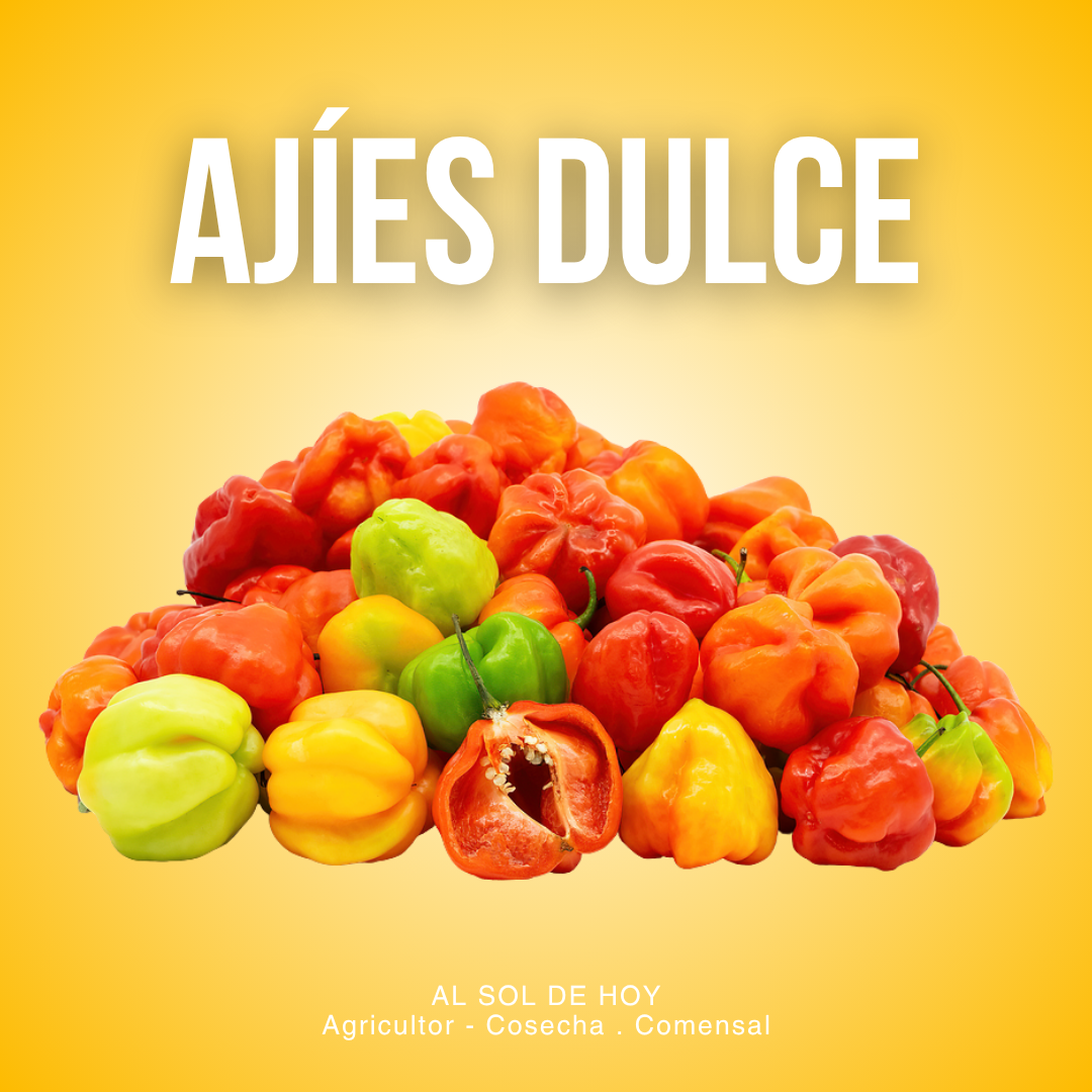 Ajies Dulce