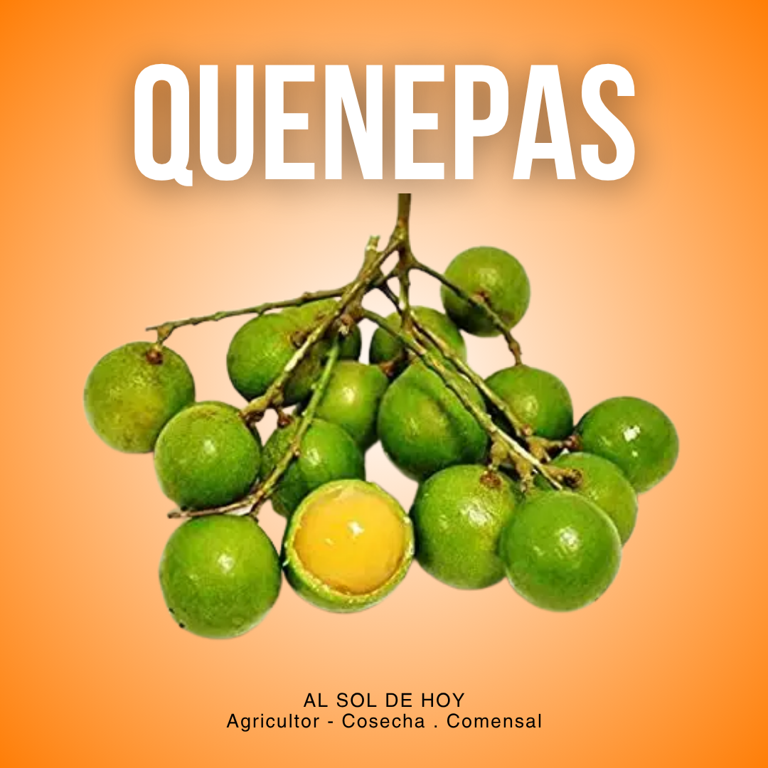 Quenepas