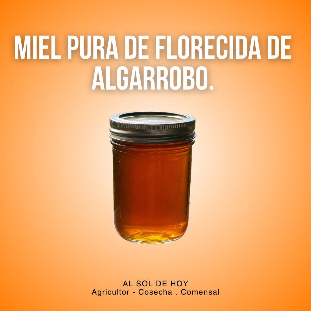 Miel Pura de Florecida de Algarrobo