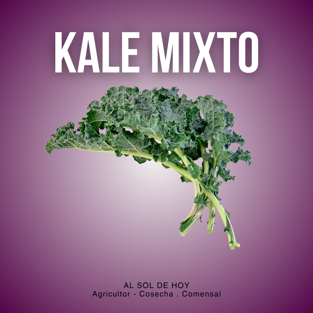 Kale Mixto