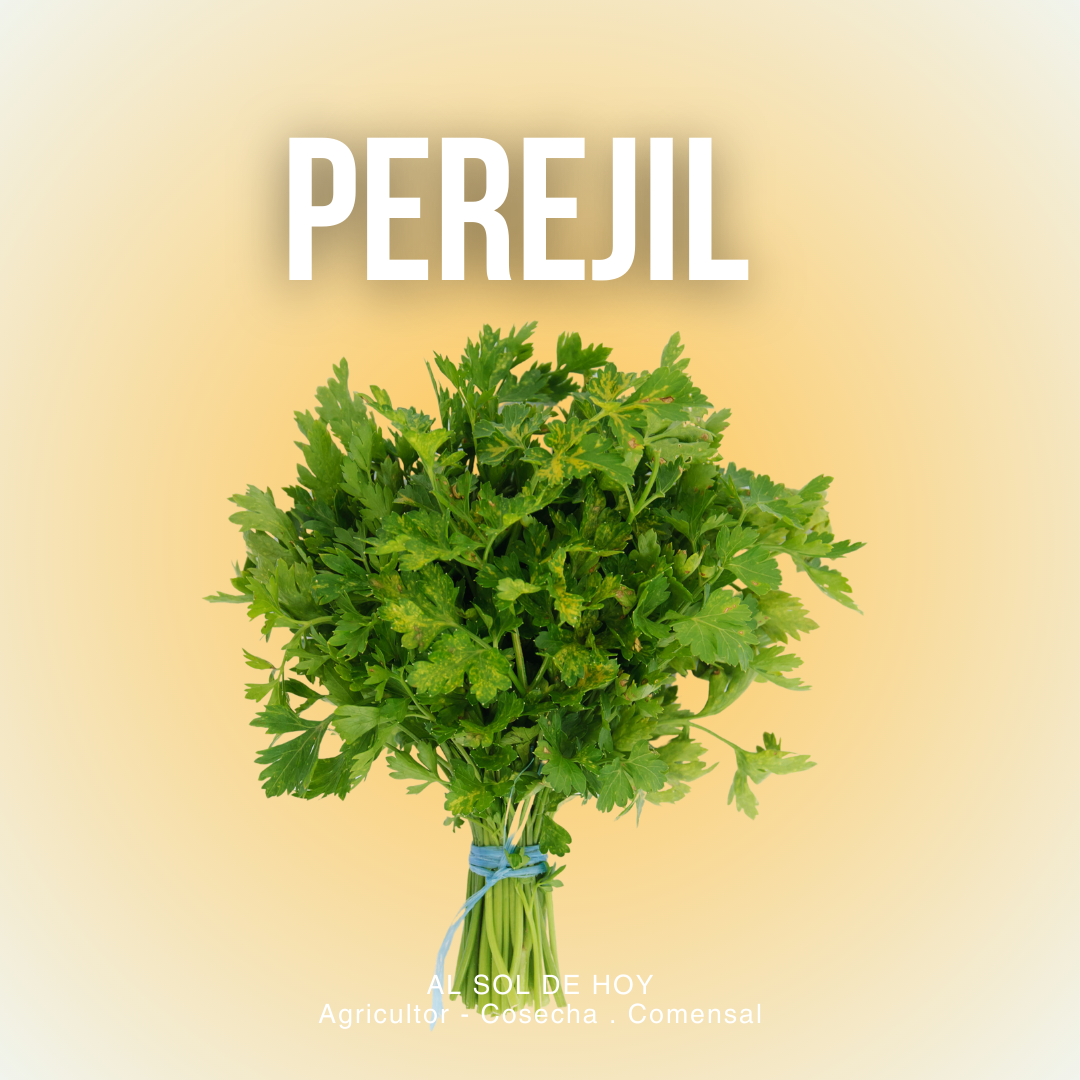 Perejil