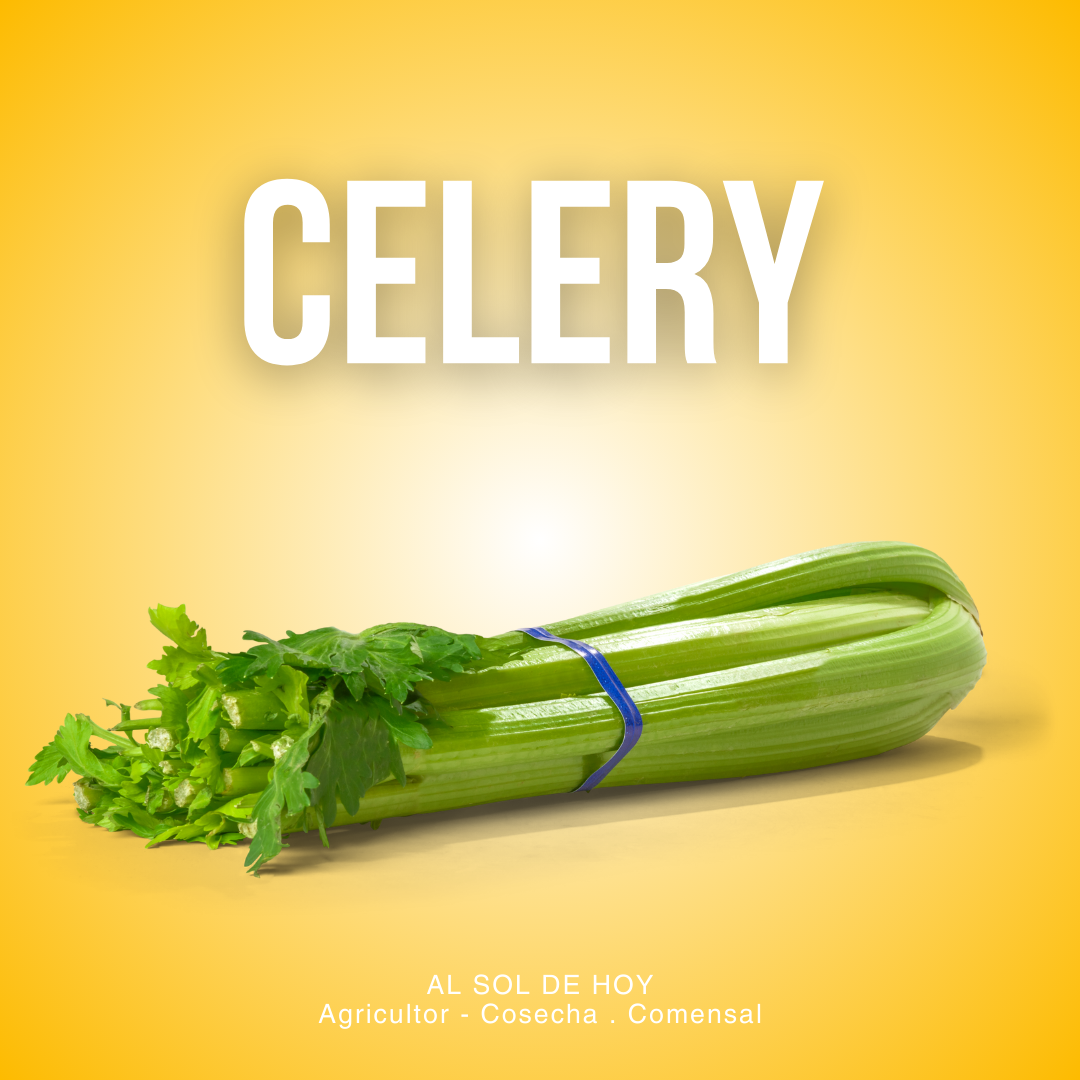Celery