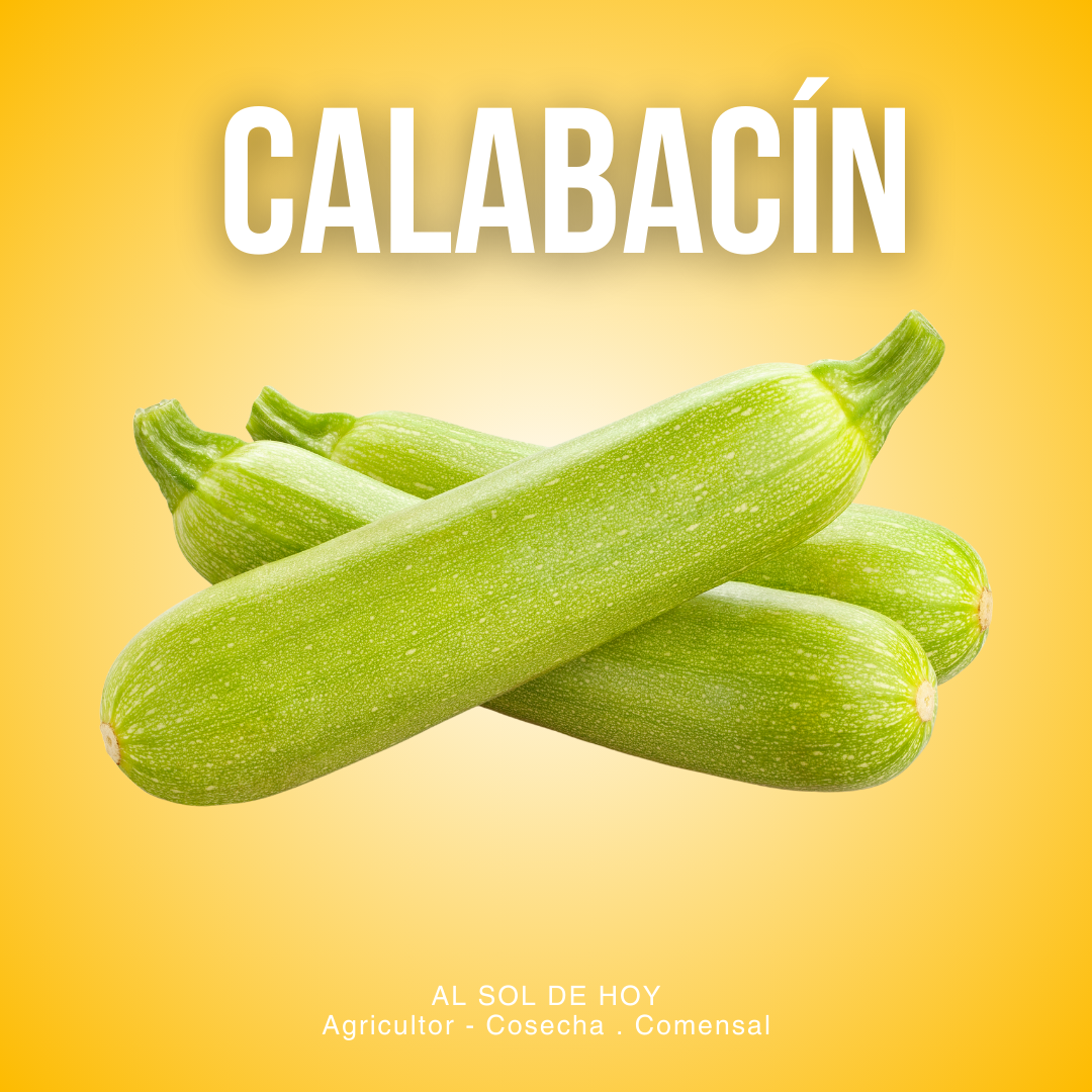 Calabacin