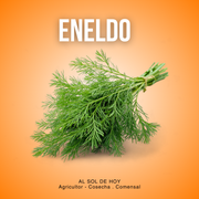 Eneldo