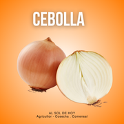 Cebolla