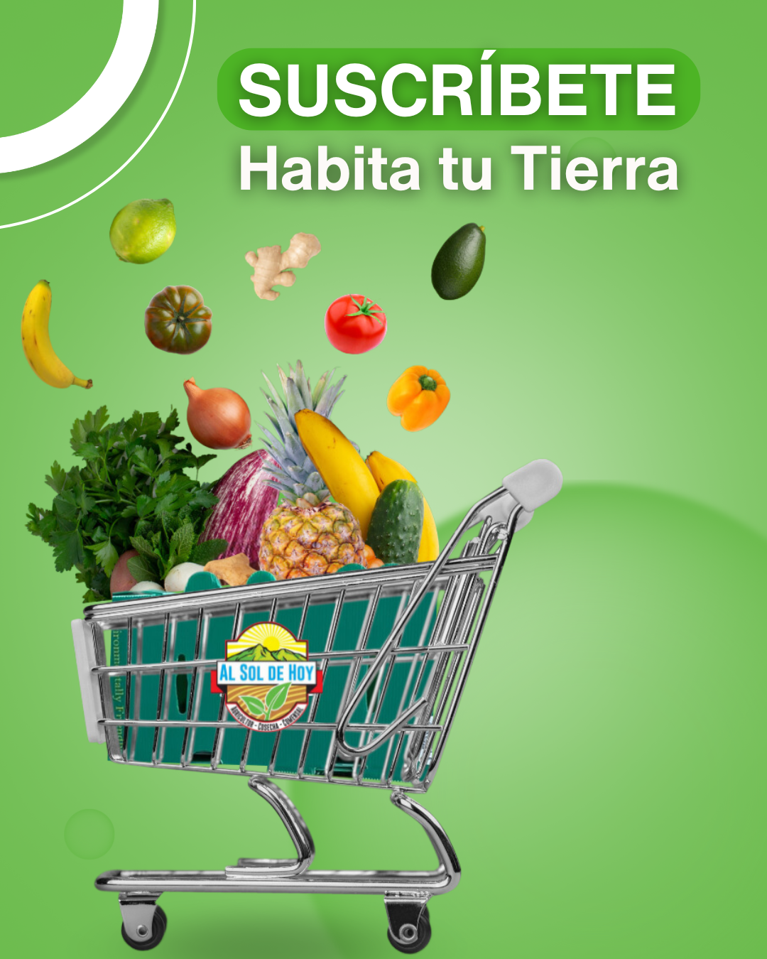 10% de descuento en su primera compra